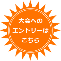 サザンセト大島ロードレースへのエントリーはこちら